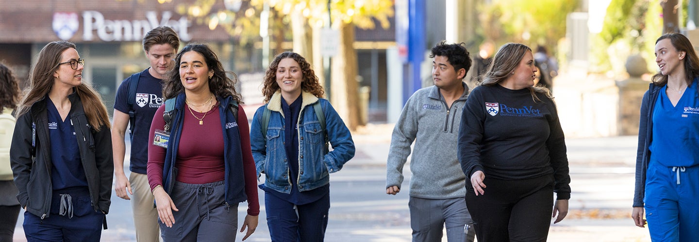 A group of people walking outside. 