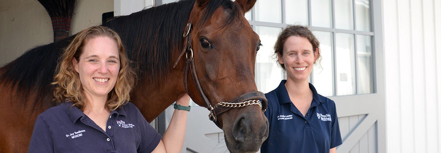 Two people standing next to a brown horse.