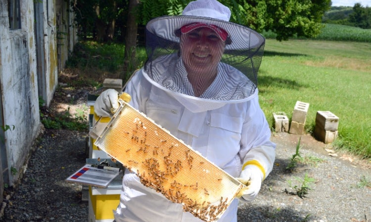a person in a bee suit holding a beehive