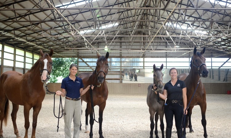 Two people standing with 4 horses.