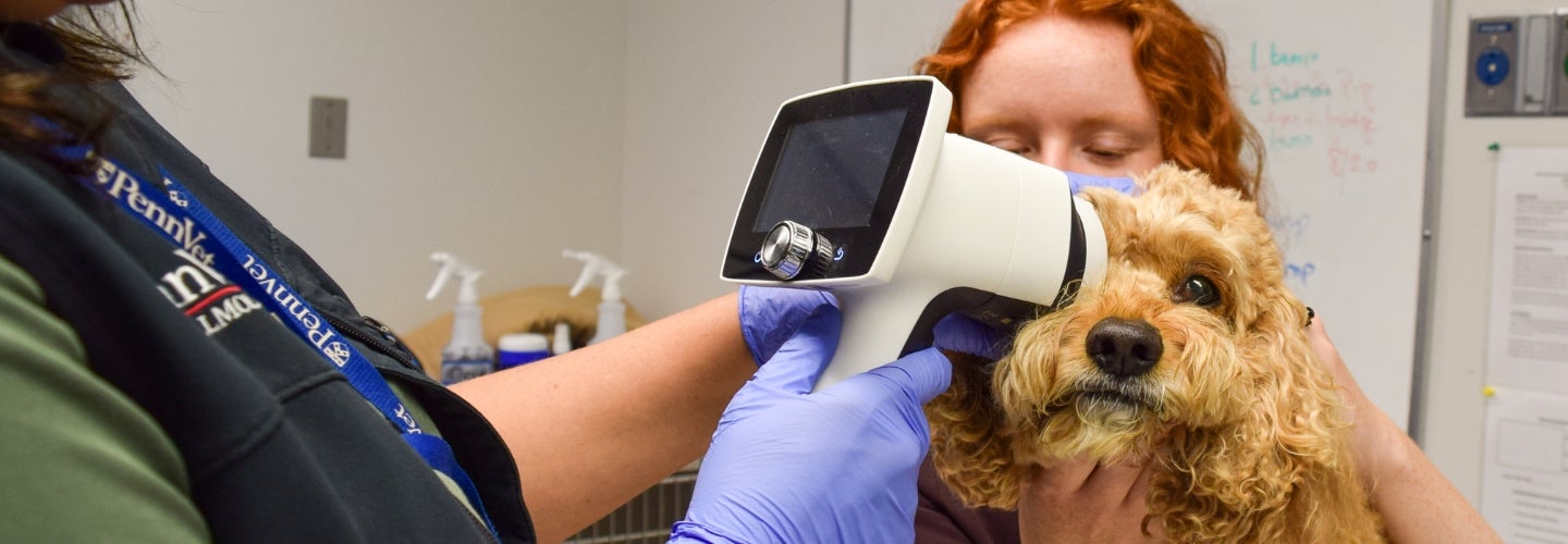 A person examining an 