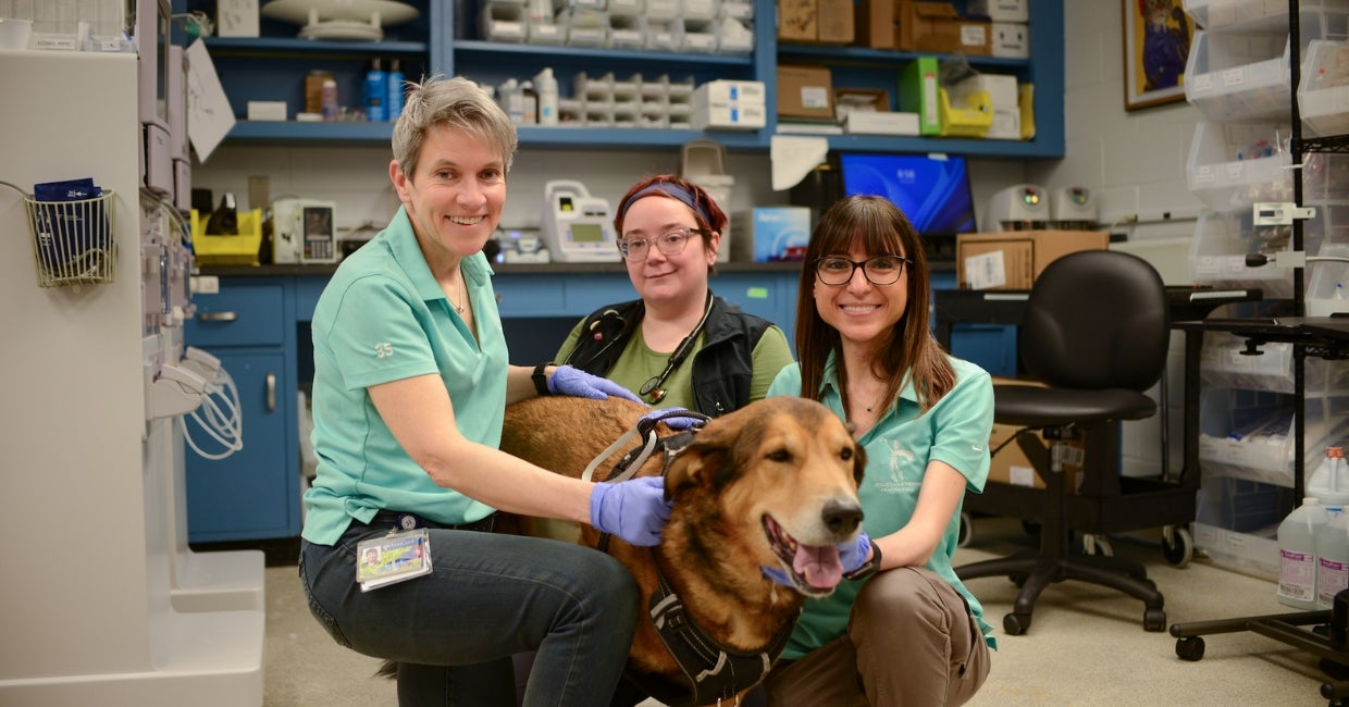 three people posing with a dog in a veterinary office
