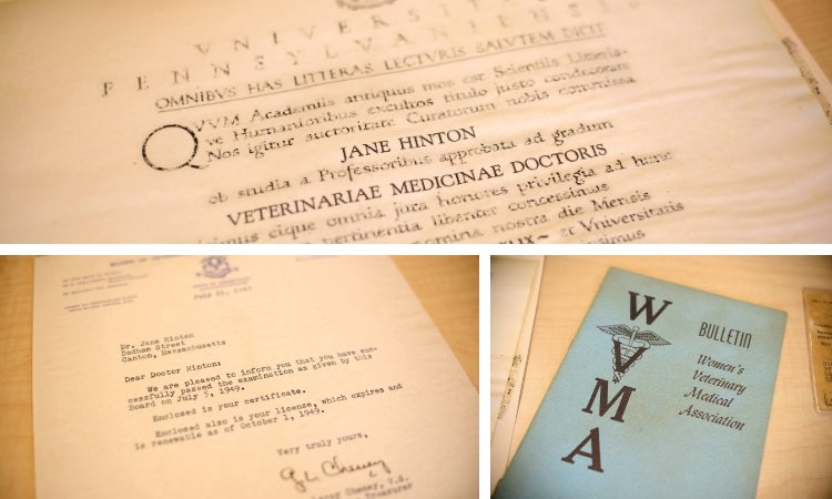 A group of documents from a veterinary program in the 1940s.