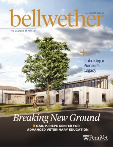 Image of a building getting built in an artist rendering