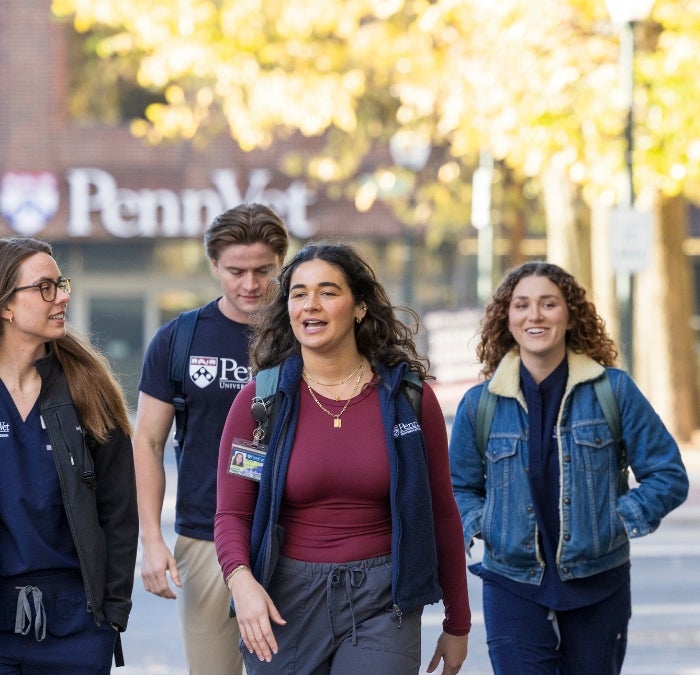 Students walking outside a sign that says Penn Vet.