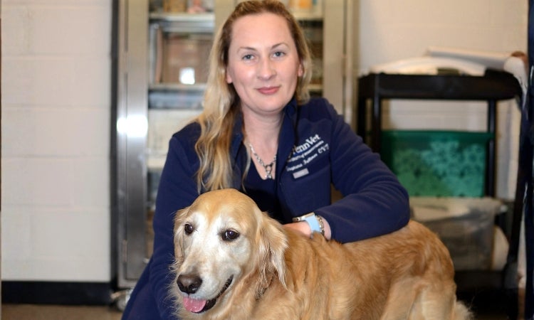 A person sitting on the floor with a golden retriever