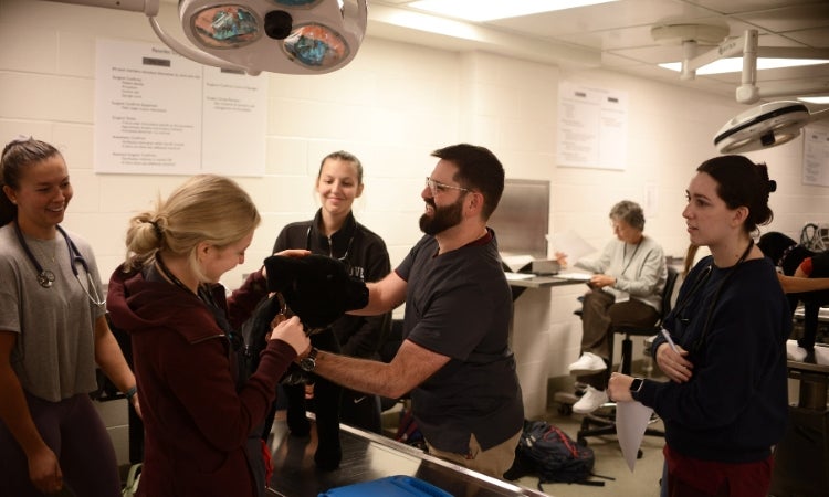 A person showing how to take care of a dog on a teaching stuffed animal.