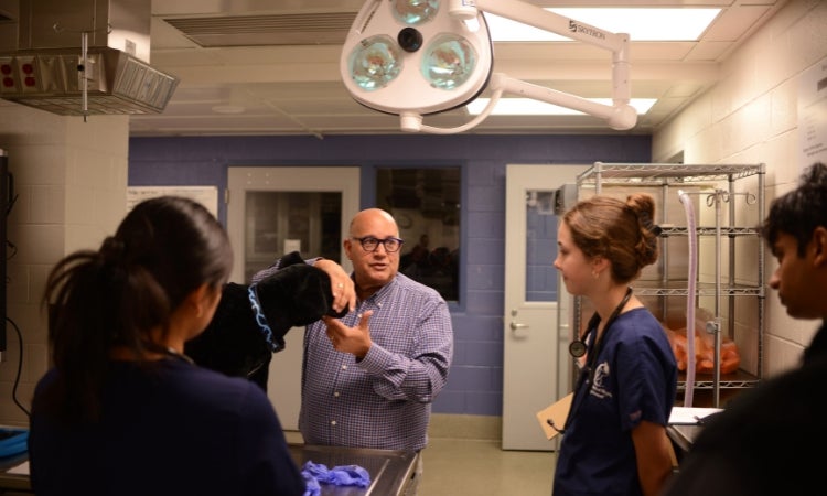 A man in a dress shirt touching a stuffed dog snout.